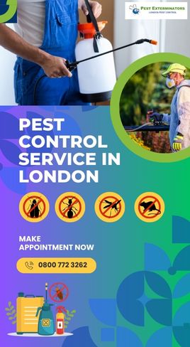 Pest control in London