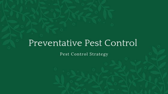 Preventative-Pest-Control