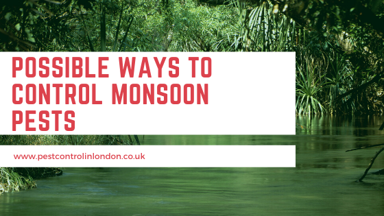<span class="light">Ways</span> to Control Monsoon Pests Health problem caused by Pests & Tips to control them (1)