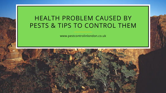 <span class="light">Health</span> problem caused by Pests Health problem caused by Pests & Tips to control them