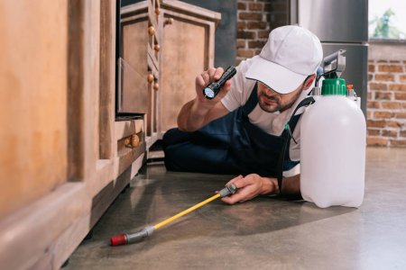 <span class="light">Why</span> you need Pest Control Service? Need of pest control