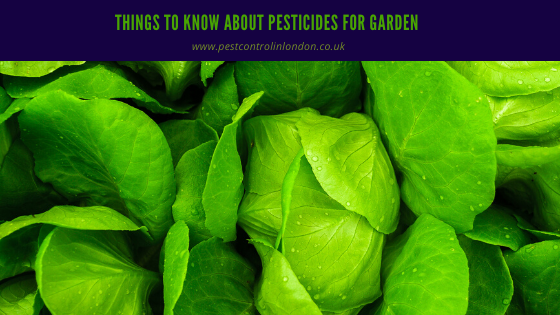 <span class="light">know</span> about Pesticides For Garden Pest control for a commercial place (2)