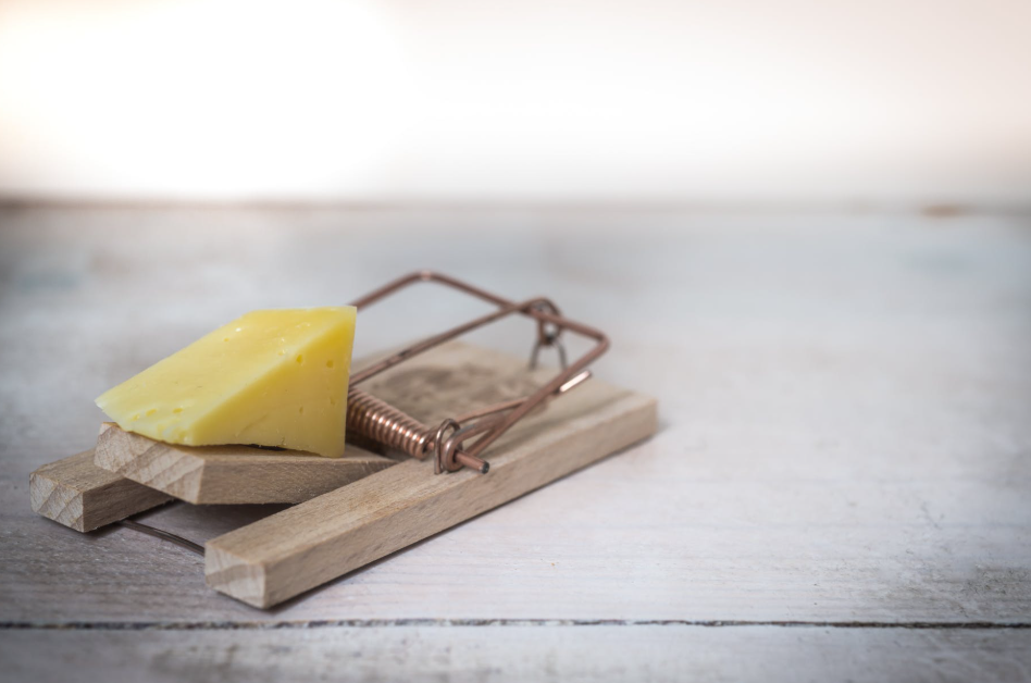 Trap to avoid mice in food storage area