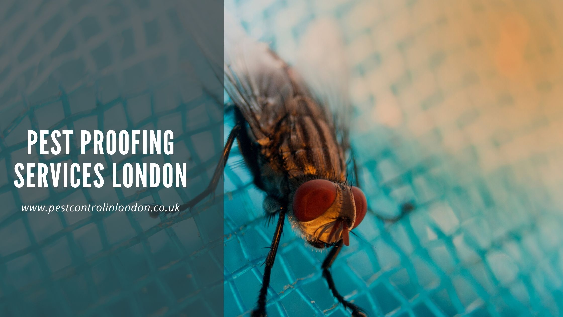 <span class="light">Pest</span> proofing services London Pest proofing services London